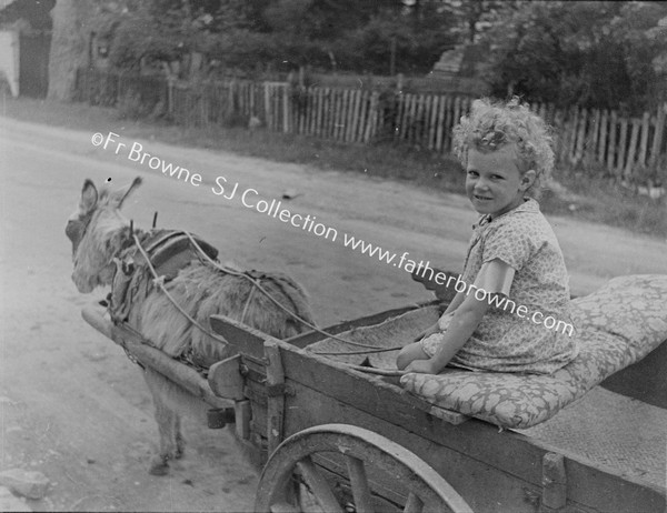 BABY GIRL DONKEY AND CART